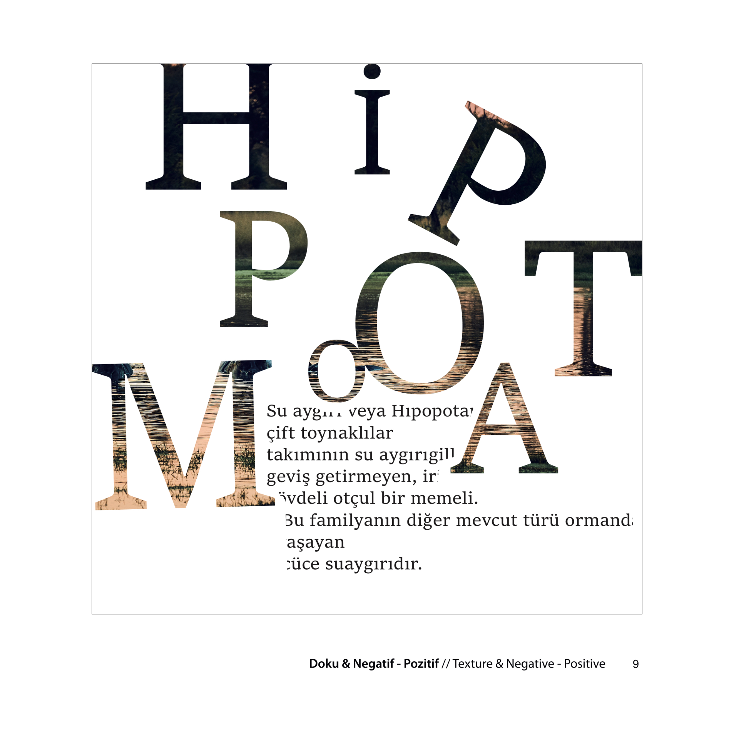 merve-arslan-tipgrafi (1)-10