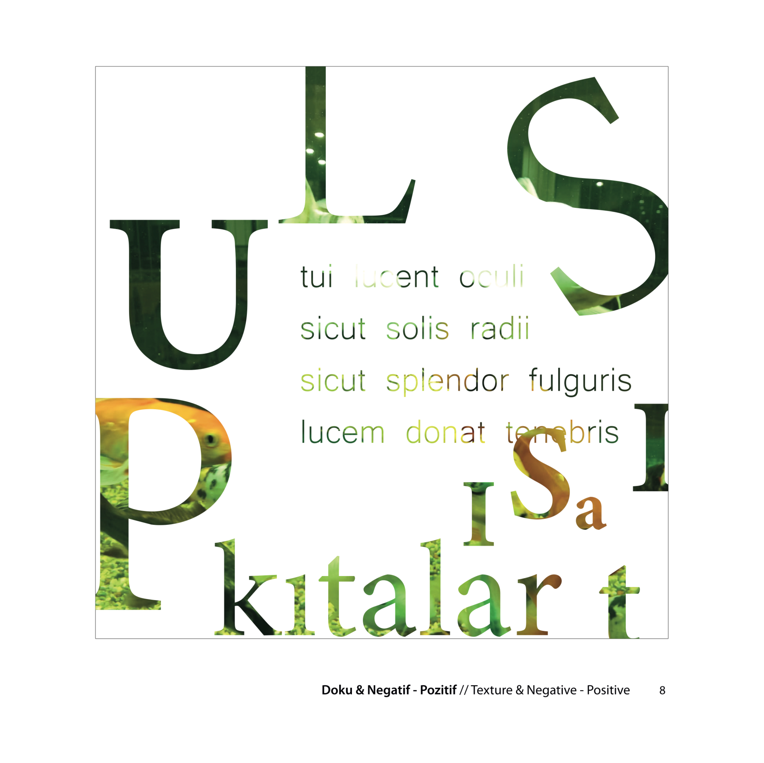 merve-arslan-tipgrafi (1)-9